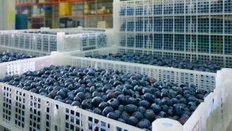 Предприятия Москвы расширили ассортимент постных продуктов