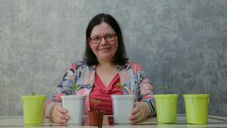 Клубничное дерево и арбузобанан: можно ли вывести необычные сорта фруктов и ягод