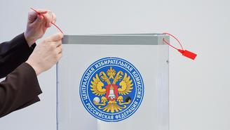 Московские наблюдатели адаптируются ко всем форматам голосования на выборах