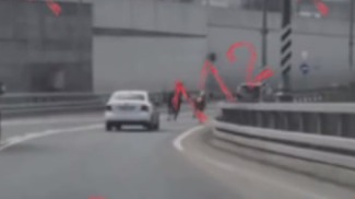 Двух лошадей заметили бегущими по МКАД