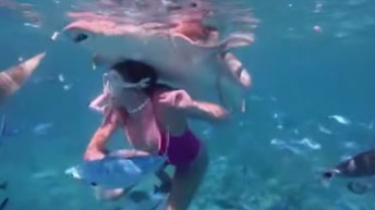 Девушка ударилась головой о брюхо акулы во время экскурсии на Мальдивах
