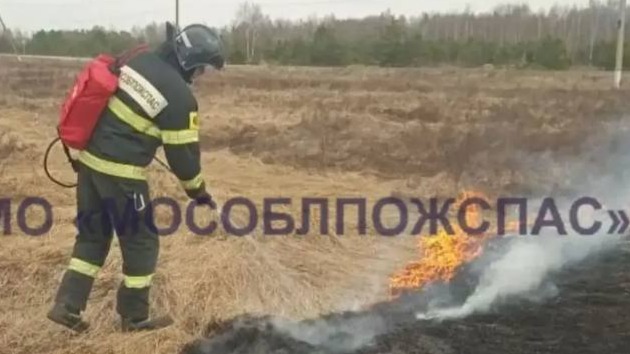 В Подмосковье впервые загорелась трава после того, как растаял снег