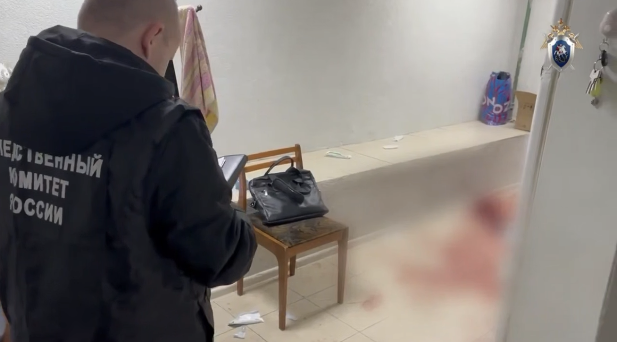 СК опубликовал видео нападения мужчины на конвоиров в Долгопрудненском суде