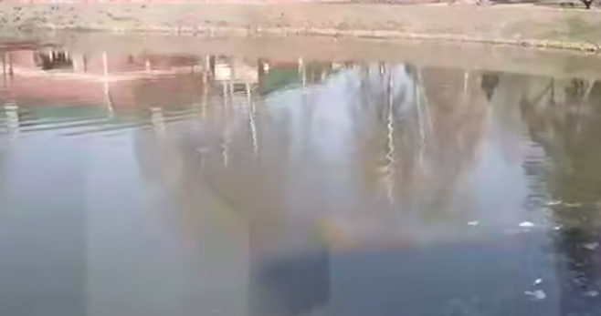 РЕН ТВ: Тело мужчины обнаружили в пруду в Сергиевом Посаде