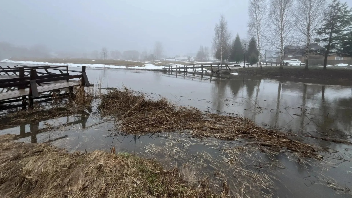Деревянный мост снесло половодьем на реке Каменке во Владимирской области