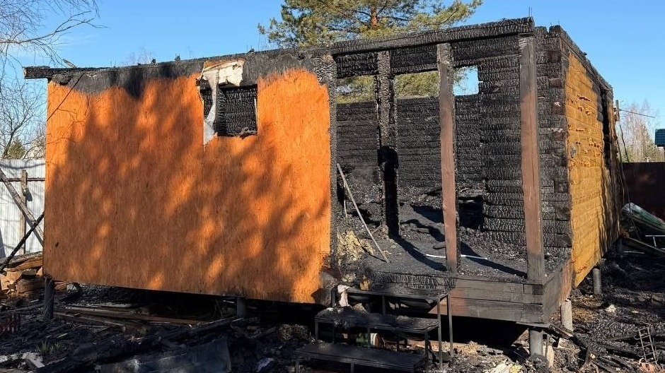 Стала известна причина пожара в Подмосковье, при котором погибли два человека