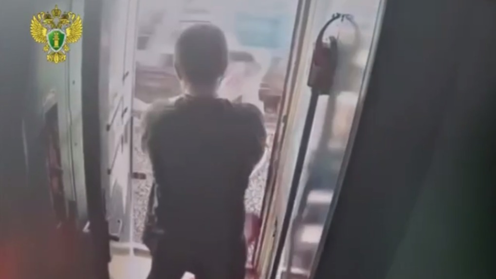 Правоохранители задержали мужчину, вытолкнувшего проводницу из поезда