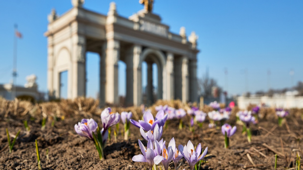 Парки Москвы подготовят к лету для комфорта жителей и гостей города
