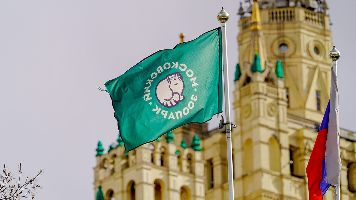 Редкие австралийские попугаи поселились на загородной территории Московского зоопарка