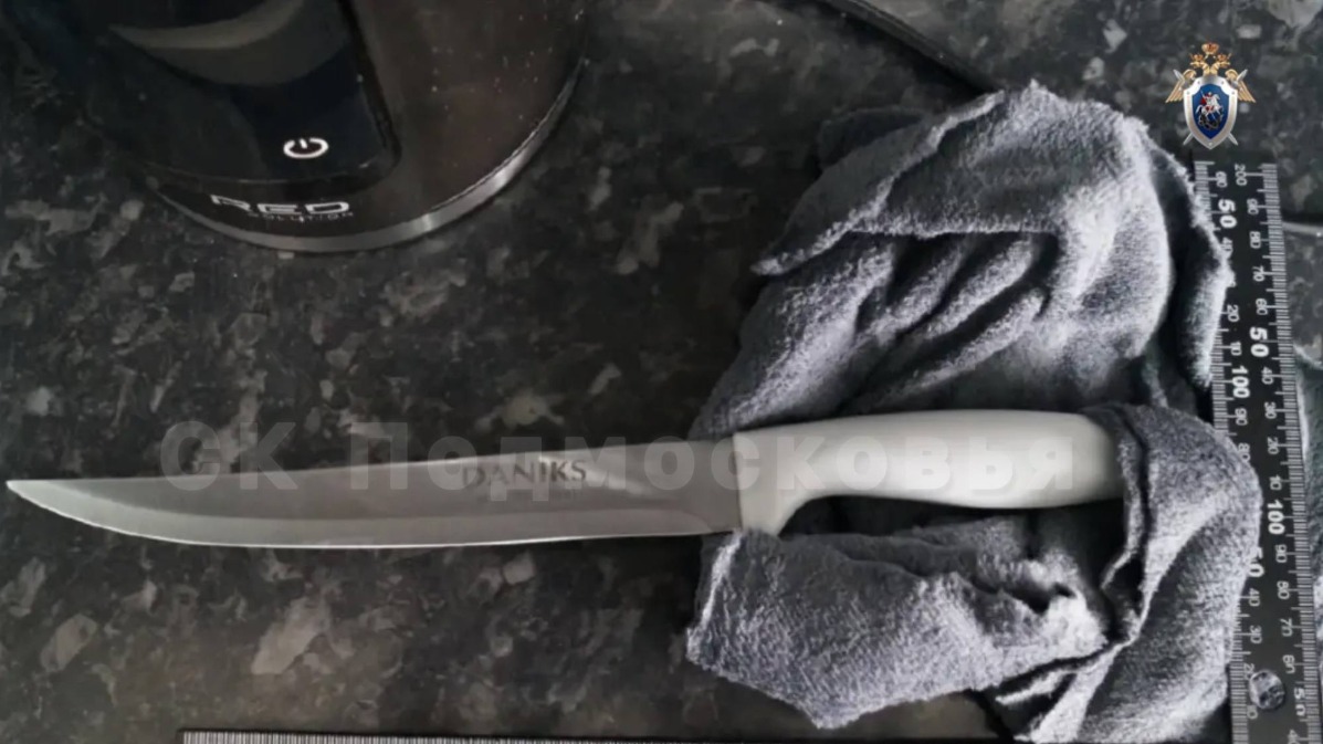 Жительницу Химок задержали по подозрению в убийстве сожителя ножом