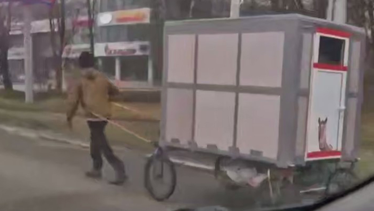 Mash: Россиянин из Ставрополя отправился пешком в Бразилию с самодельной повозкой