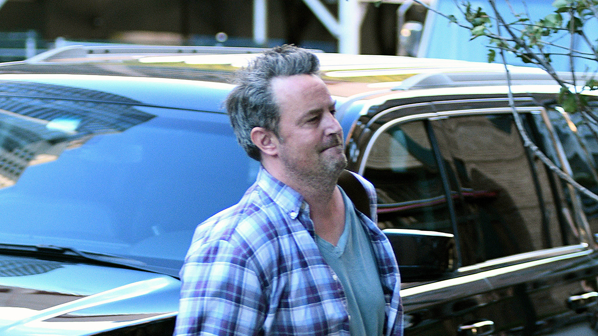 Дело о смерти Мэттью Перри: биография, суд над «кетаминовой королевой» Сангхой, аресты врачей