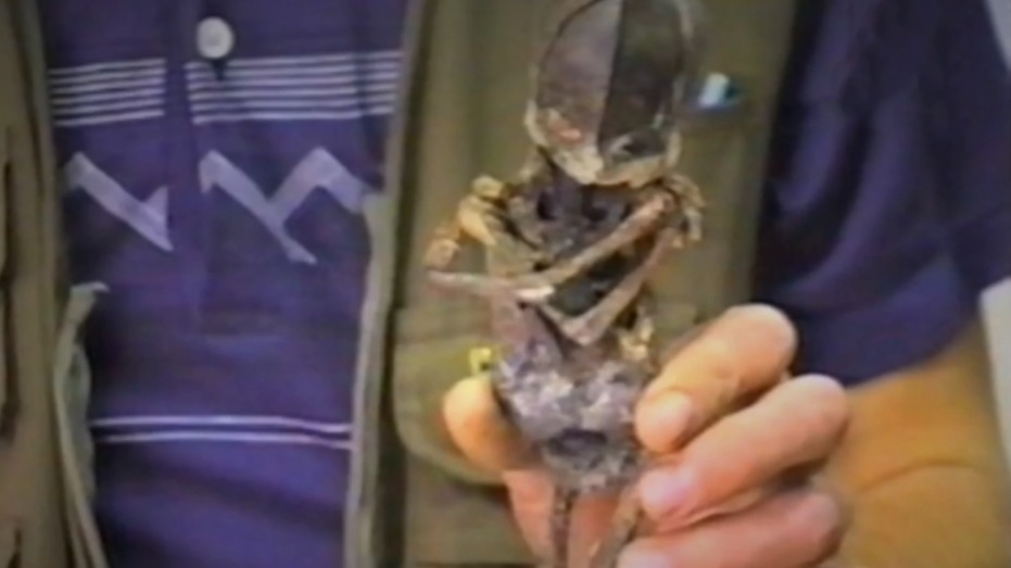 Кыштымский карлик, гуманоид Алешенька: что это, откуда он появился, куда пропал, детали расследования