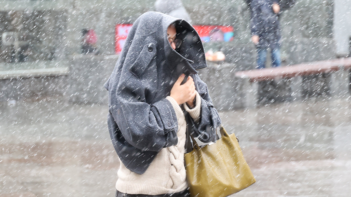 Мокрый снег и заморозки ожидаются в Московском регионе в ночь на 19 апреля