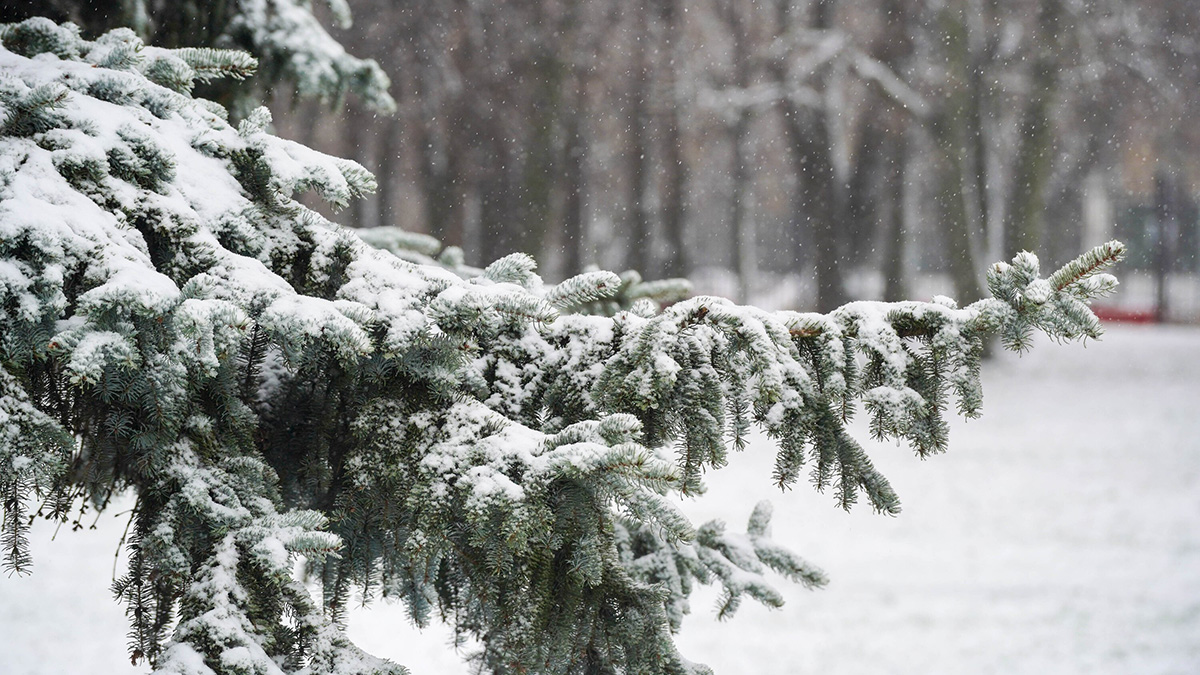 Водителей в Москве призвали использовать общественный транспорт в связи с непогодой