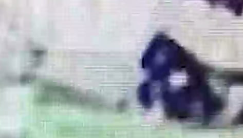 Появилось видео с моментом взрыва петарды в кармане у ребенка в Орехово-Зуеве