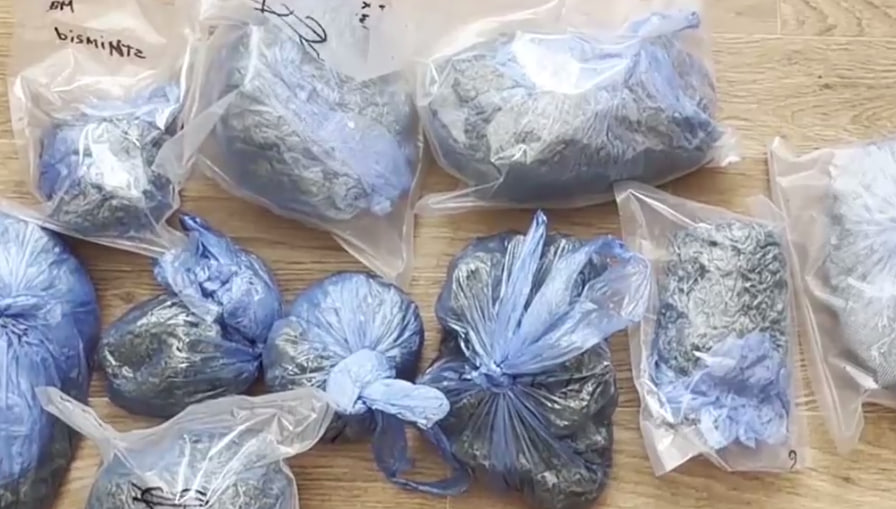 Полиция задержала жителя Подмосковья, выращивавшего на участке коноплю