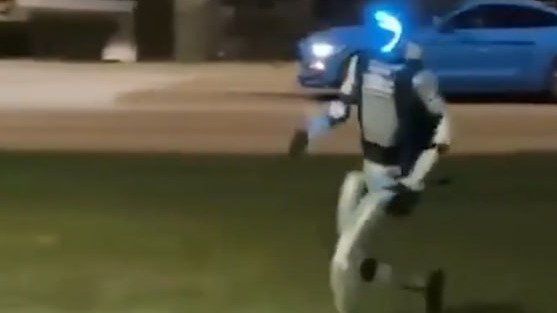 Робот-гуманоид прогнал диких кабанов в лес в Варшаве