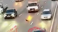 Бегал и пытался выжить: на МКАД сняли испуганного щенка в потоке машин