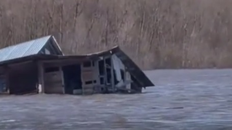 Дом уплыл от хозяев по разлившейся Оке в Нижегородской области