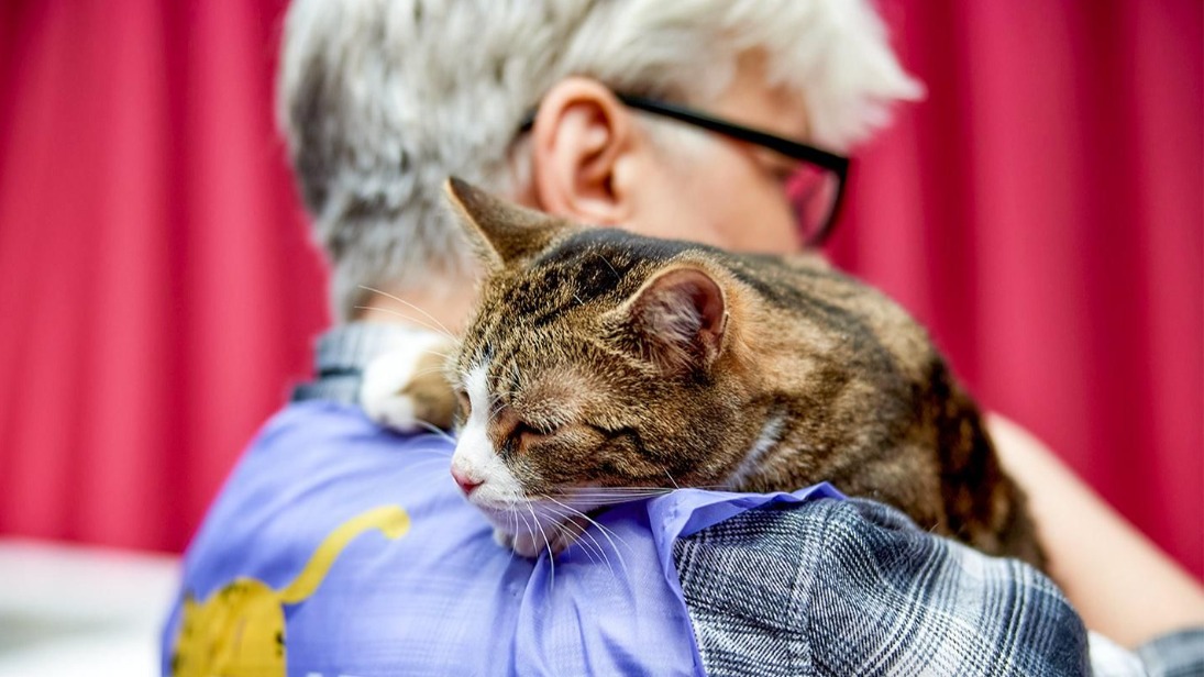 Животные из приютов обрели дом на мероприятии «Моспитомец х Четвероногий друг» 