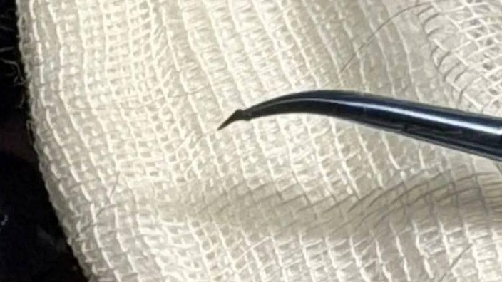 Столичные ветеринары спасли зрение собаке, в глаз которой воткнулся шип от розы