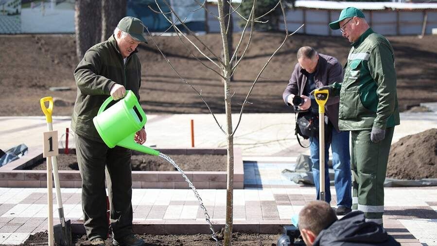 Лукашенко вместе с младшим сыном посадили деревья на субботнике