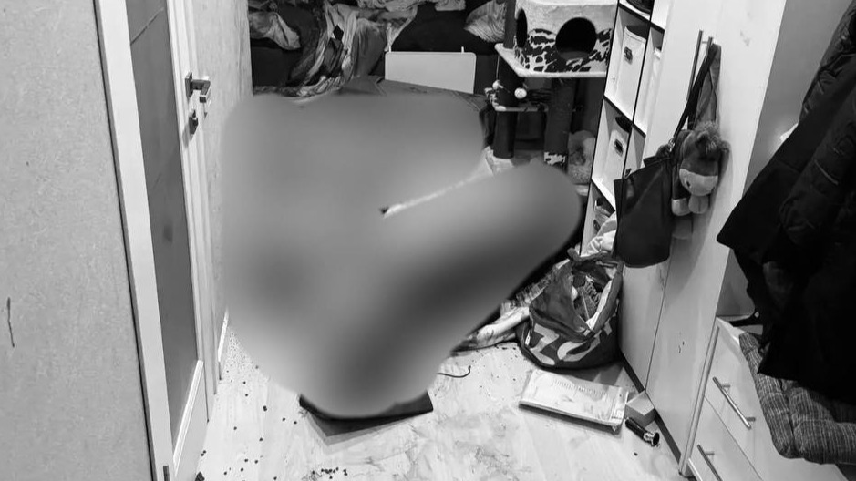 Появились кадры из квартиры, где актер Бенграф и его жена зарезали друг друга