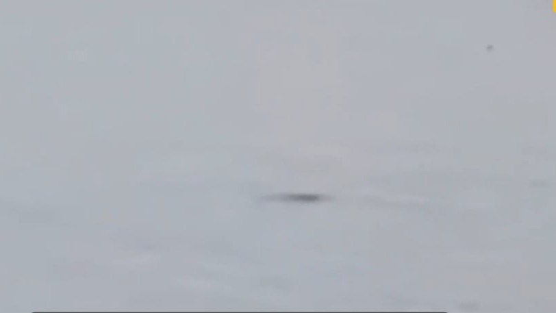 «Лох-несское чудовище» дважды за пять дней заметили в озере в Шотландии