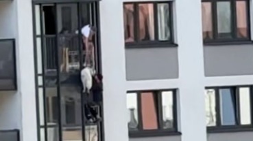 Лаяла днями и ночами: петербурженка на три дня заперла собаку на балконе