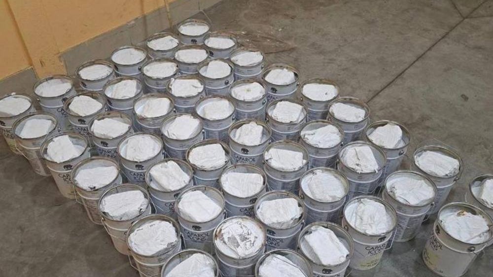 Крупную партию гашиша пытались провезти в Россию из Белоруссии