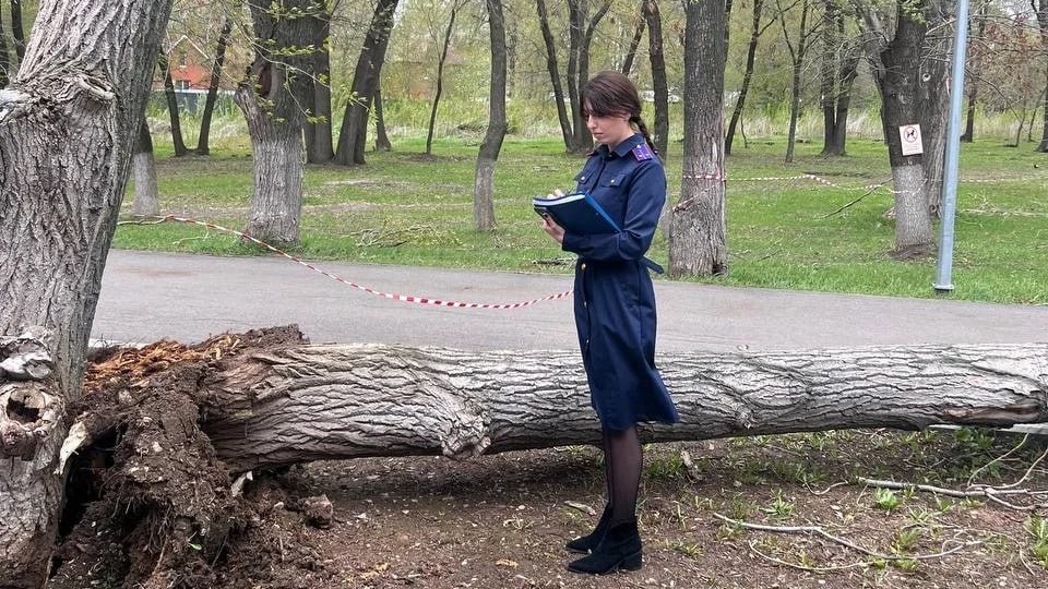 Ребенок погиб при падении дерева в Самаре