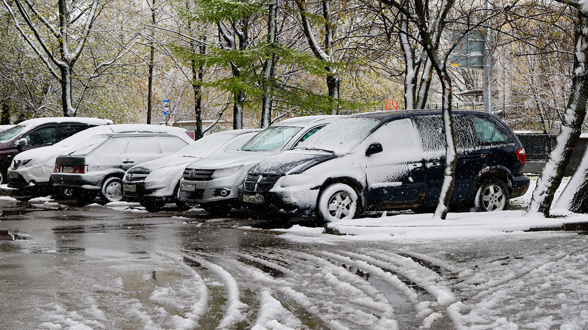 Синоптик Тишковец: Снежный покров в Москве растает 1 мая