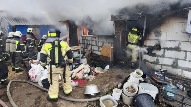 Около 200 чихуахуа погибли при пожаре в Нижегородской области 