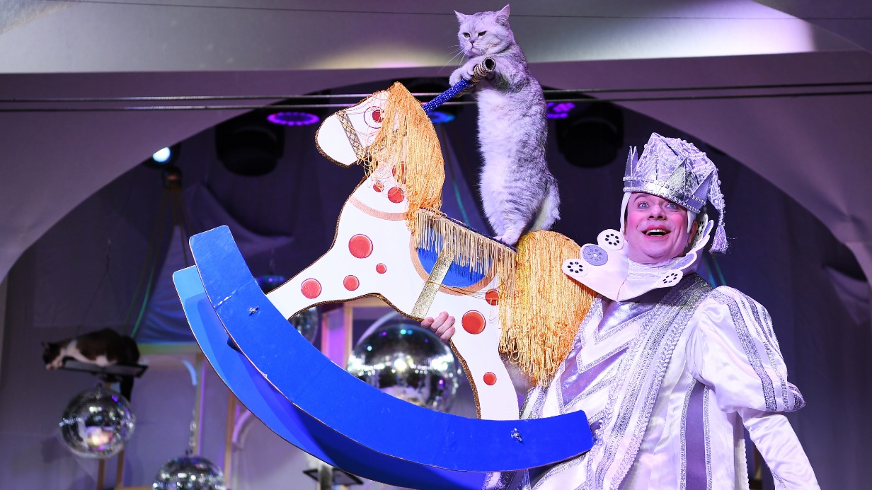 Артист Дмитрий Куклачев в спектакле «Лебединое озеро, или Как прЫнц невесту искал, а коты ему помогали»