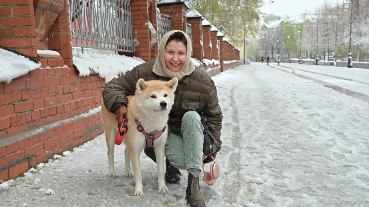 Москвичка Ольга Иванова с собакой породы акита-ину по кличке Мэй гуляет в Лаврушинском переулке