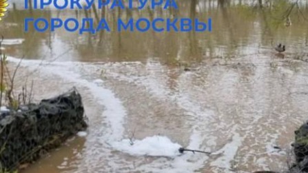 Прокуратура начала проверку после загрязнения двух прудов в Новой Москве