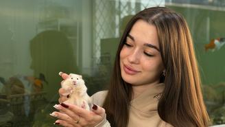 Как создать комфортные условия для хомяка