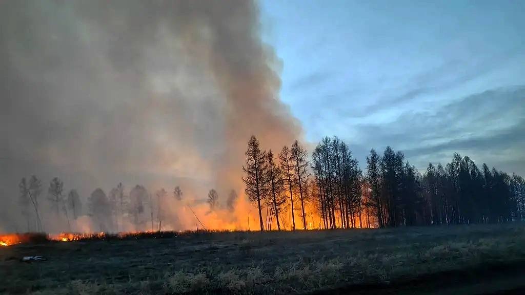 Ховалыг: Режим ЧС регионального значения вводится в лесах Тувы из-за пожаров