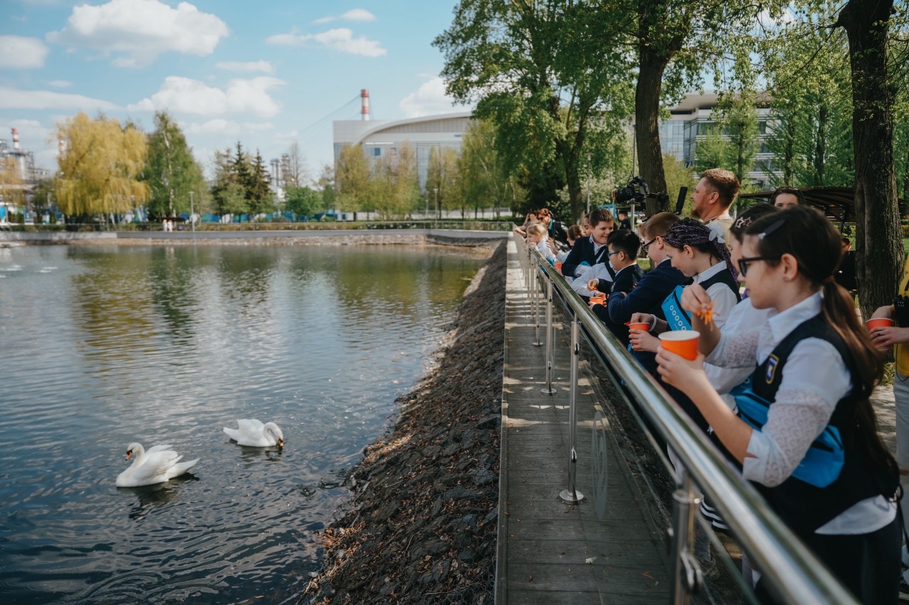 Семейство лебедей Московского НПЗ вернулось после зимовки в Капотне