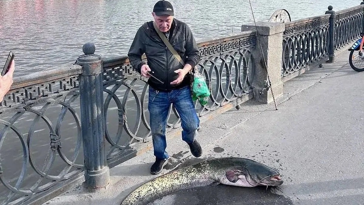 25-килограммового сома рыбаки вытащили на набережной