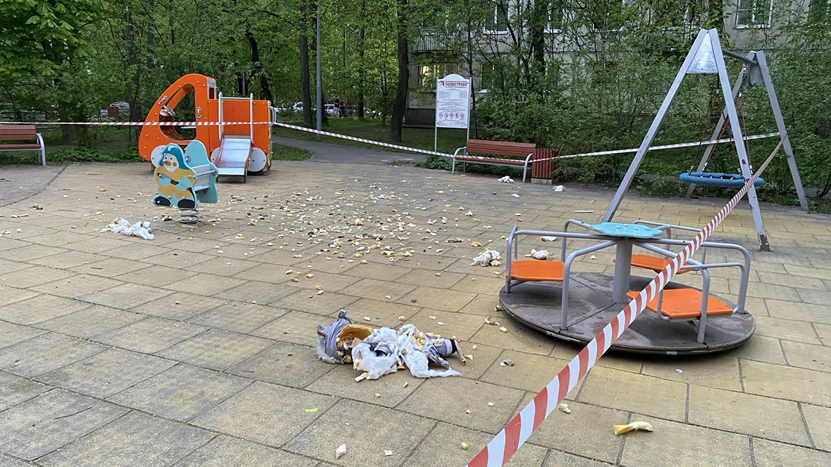 Эксперт по безопасности прокомментировал взрыв на детской площадке в Петербурге