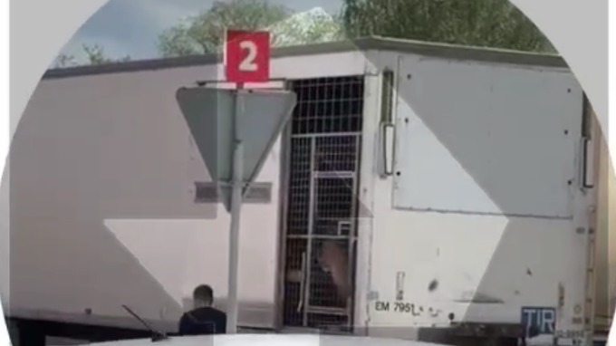 Львы напали на сотрудника передвижного цирка во Владимире