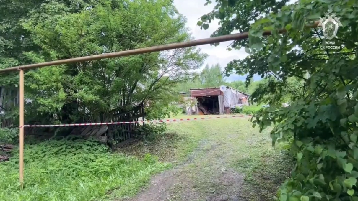 Убийство бабушки и внучки в Ханино: как их ограбили и избили до смерти, что с пострадавшими, кто преступник