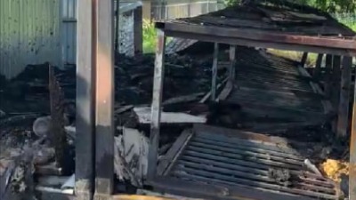 Почти 20 собак погибли из-за пожара в приюте в Тверской области