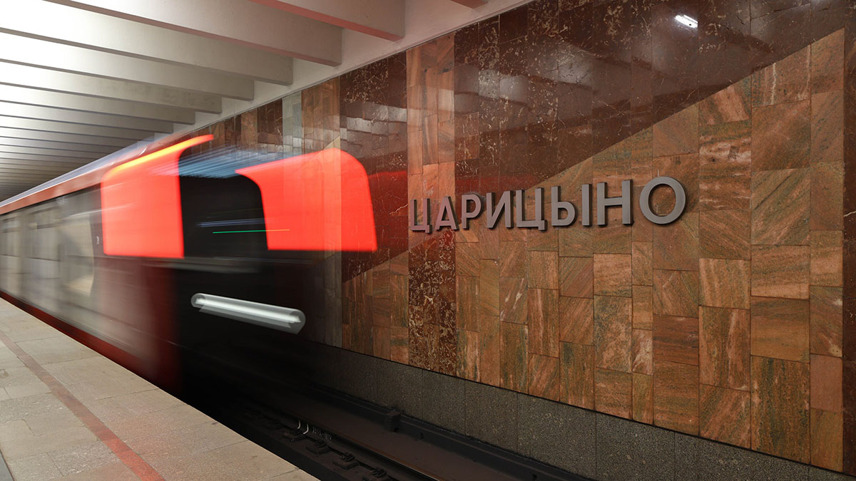 Голый мужчина спрыгнул на путь на станции метро «Царицыно»: какое ему назначили наказание