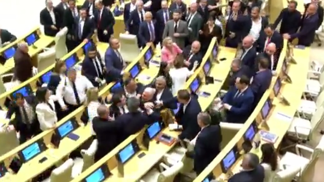 Драка произошла в парламенте Грузии после выступления оппозиционного политика