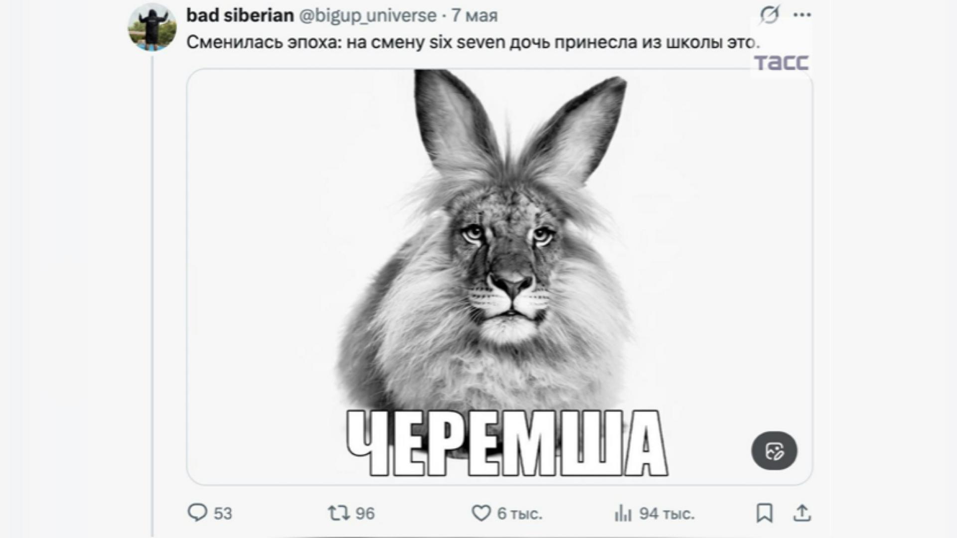 Минпросвещения: Популярность мема «Черемша» не должна вызывать беспокойства