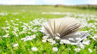 Что почитать летом: 10 книжных новинок июня и июля 2026