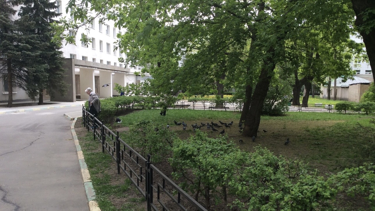 В НПЦ им. Соловьева отреагировали на получение статуса Сотрудничающего центра ВОЗ